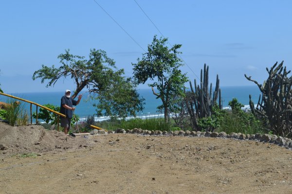 Oceanview from the drive